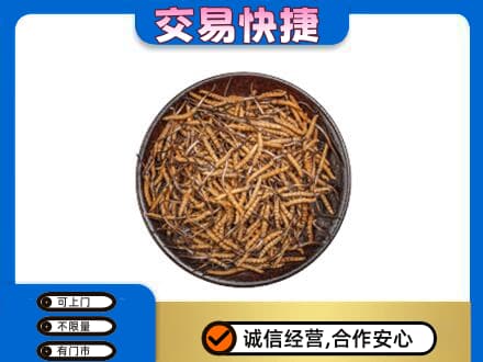 兴安盟高价回收散虫草